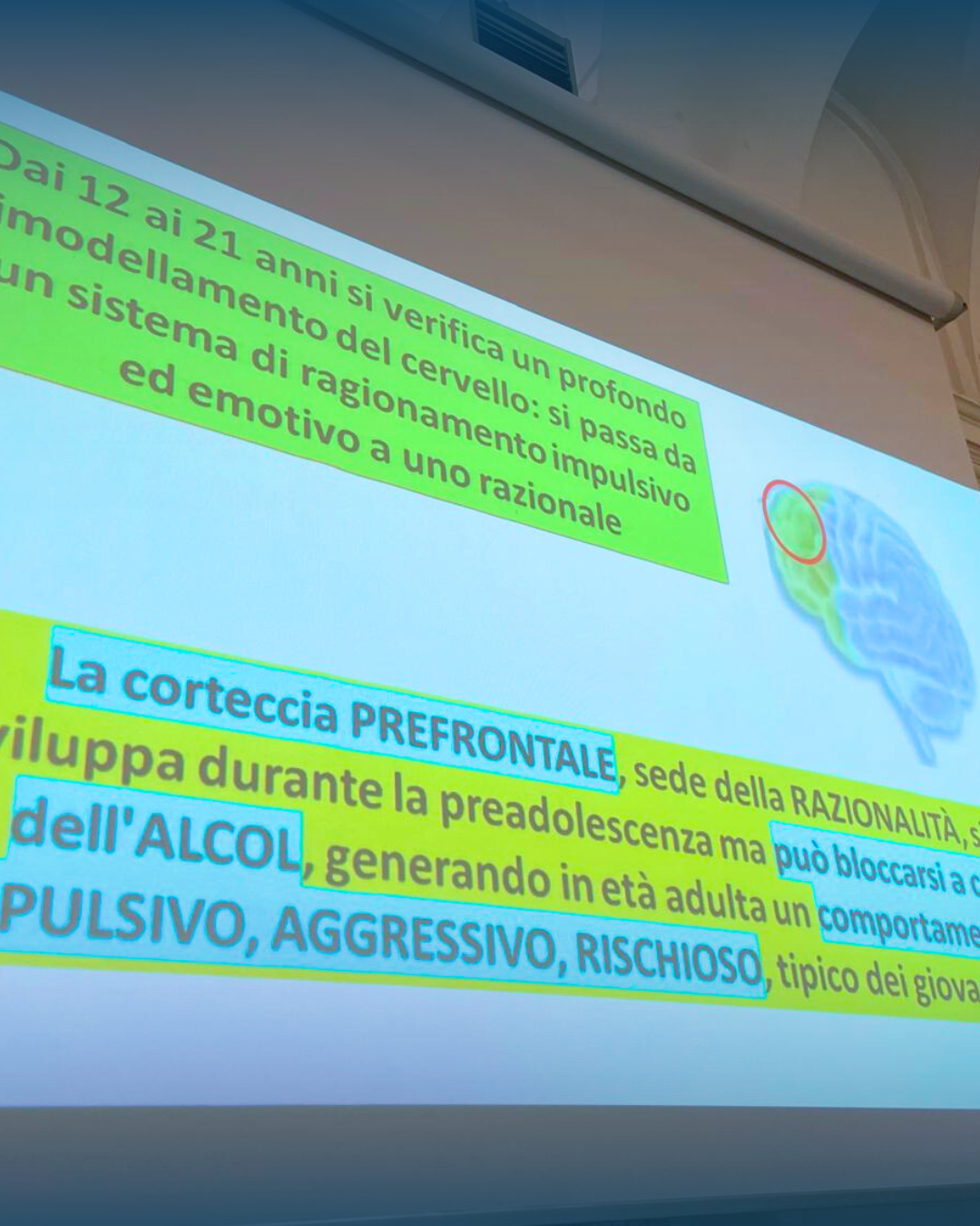 ⚖️ Secondo incontro FSL Artemisia Lab Academy al Liceo Artistico “Via di Ripetta” di Roma — foto 9